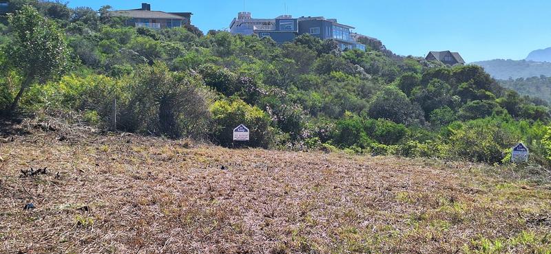 0 Bedroom Property for Sale in Groot Brakrivier Central Western Cape